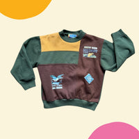 Sweat forêt colorblock vert et marron - 10 ans