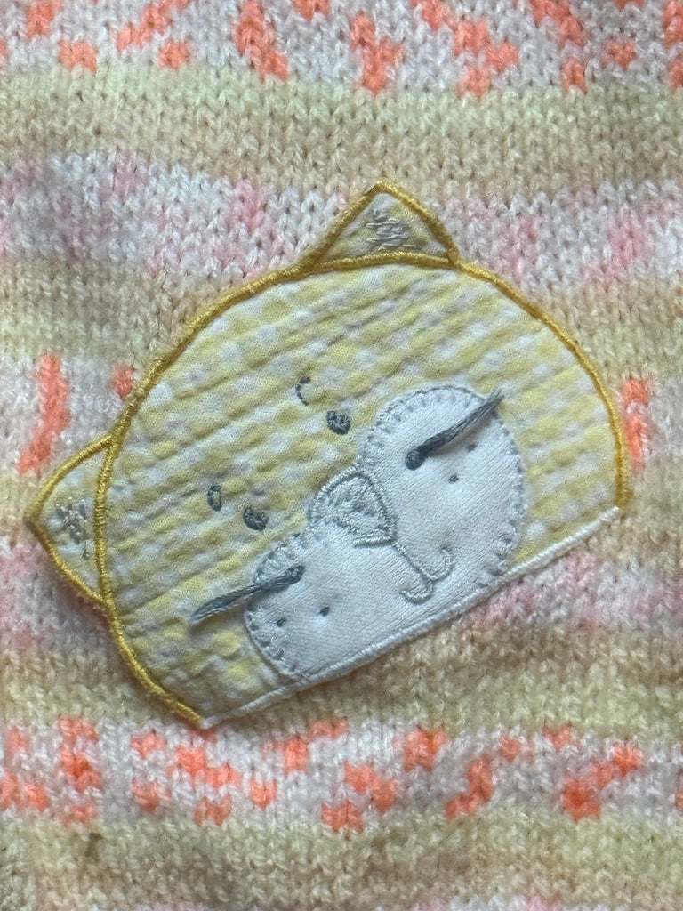 Pull chat orangé - 3 mois