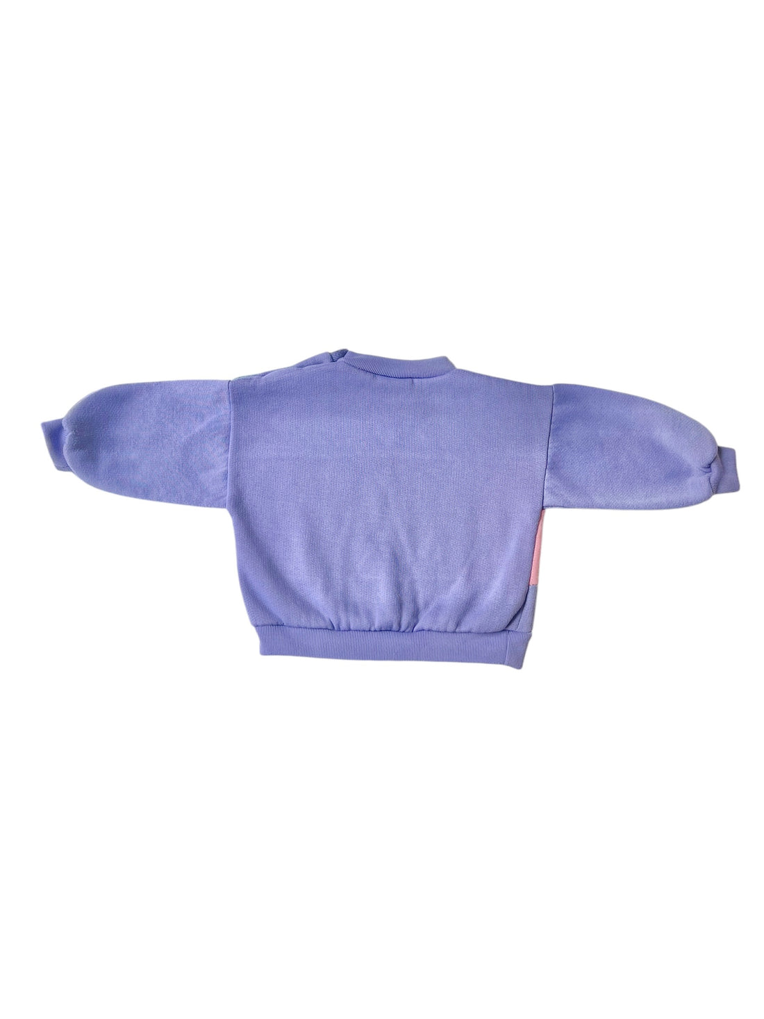 Sweat colorblock save nature - 9 mois